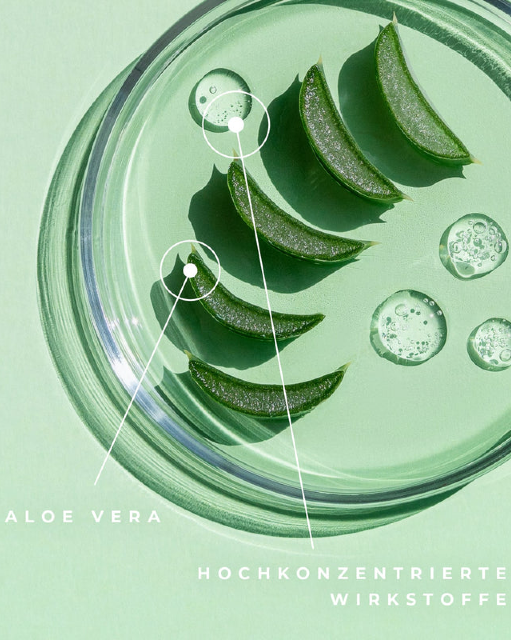 Selbstbräuner Booster